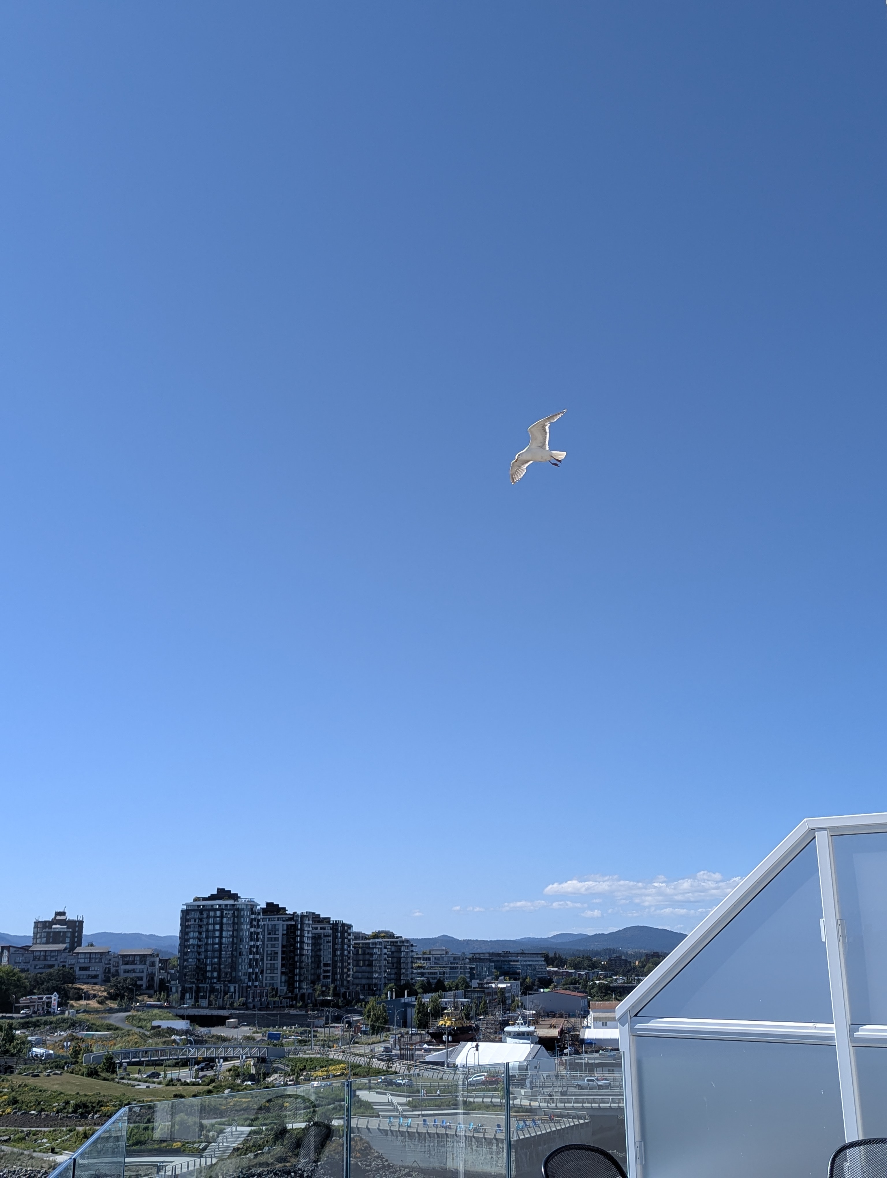 Birthday Trip to Canada, Victoria, Vancouver Island, British Columbia